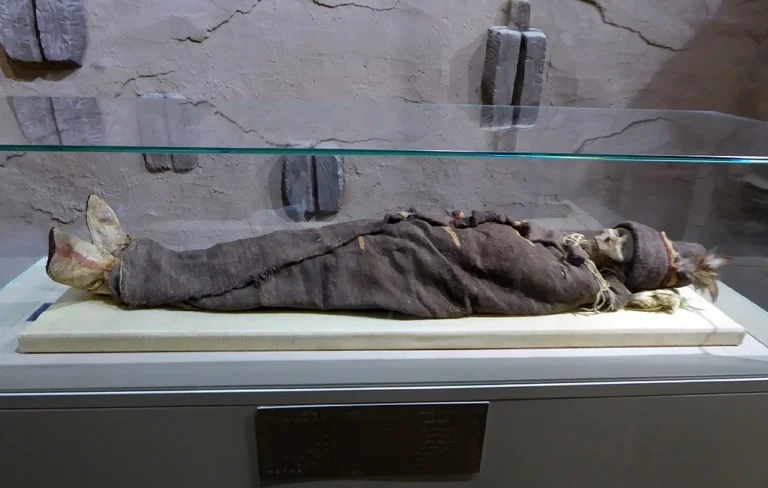 The Enigmatic Tarim Mummies: Unraveling Ancient Genetic Connections