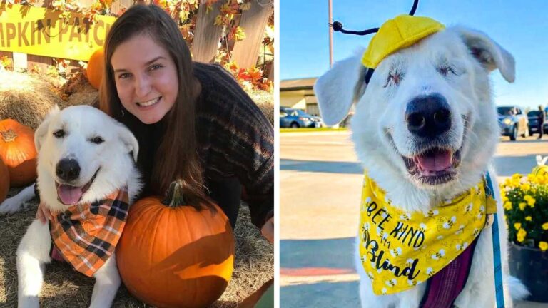 Heartwarming Story of Kida the Blind Dog Who Recognizes the Park