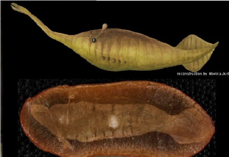 Unearth the Nightmares: Eight Terrifying Prehistoric Beasts
