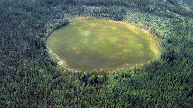 A Century of Unraveling the Cosmic Puzzle