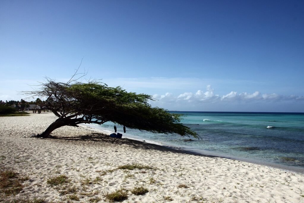 Eagle Beach in Aruba