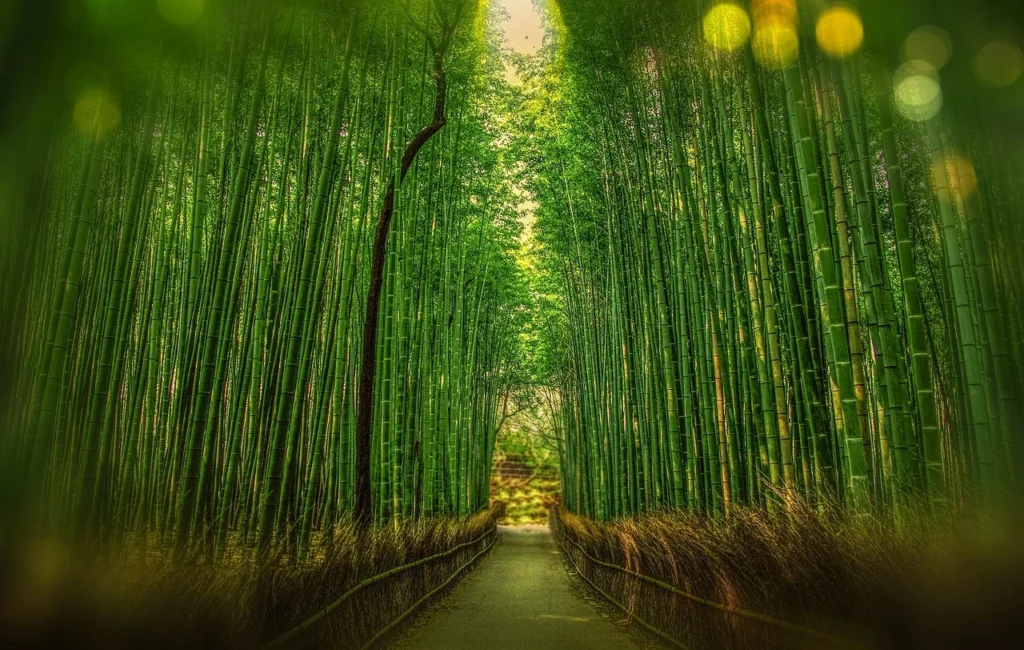 Kyoto, Japan