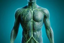 worst foods for lymphatic system