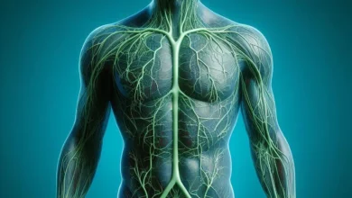 worst foods for lymphatic system