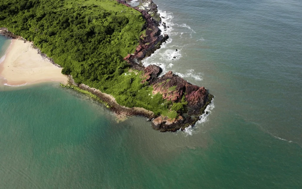 Snake Island , Brazil