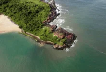 Snake island