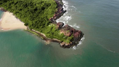 Snake island