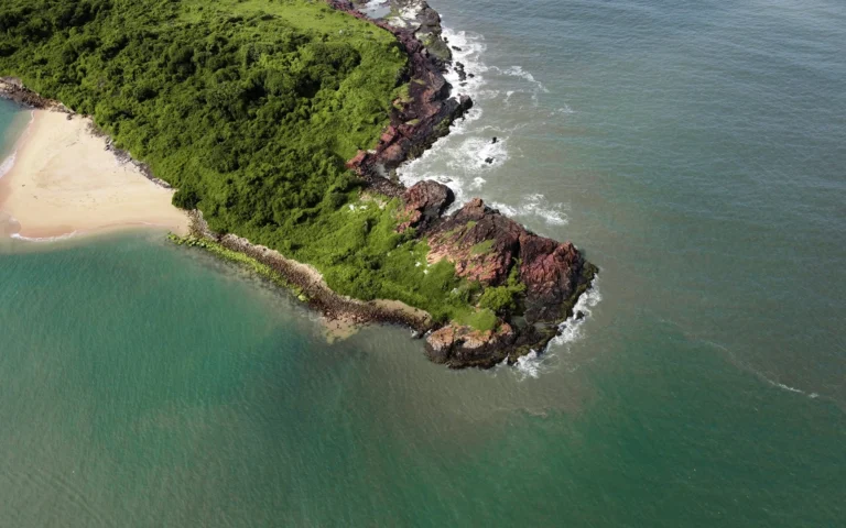 Snake island