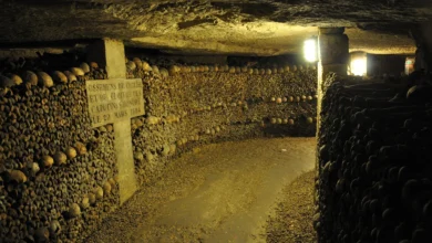 Unearthing Secrets: The Mystique of Paris Catacombs