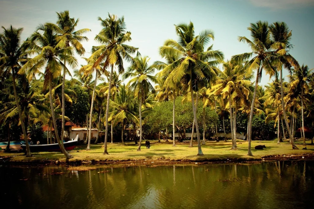Kerala’s backwaters
How to Choose the Best 10 Travel Destinations November