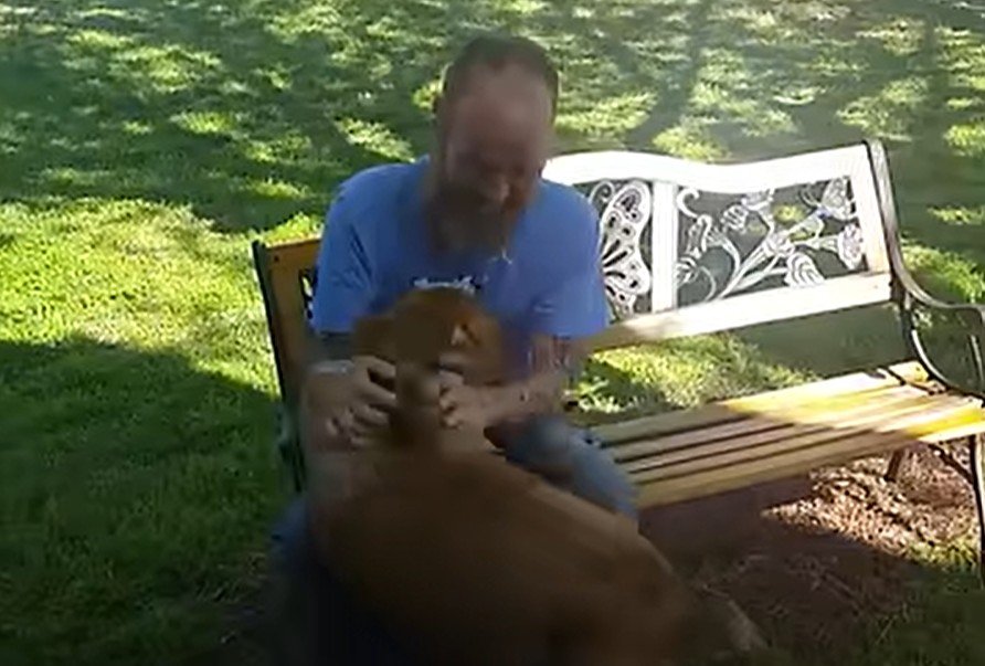 dog recognizes owner after illness