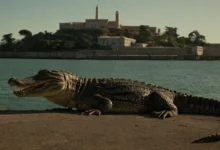Alligator Alcatraz